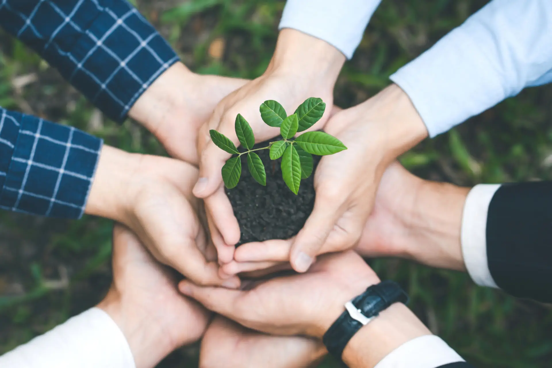 Chi siamo Chi siamo - RenOils consorzio nazionale oli alimentari